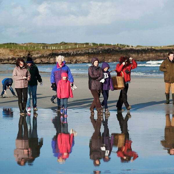 Seaweed Walk - Conamara Sea Week