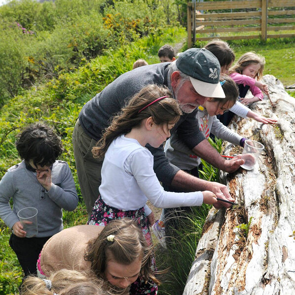 Schools Programme - Conamara Sea Week