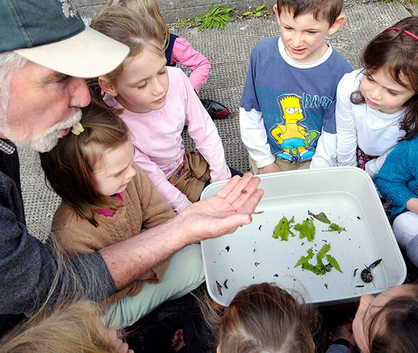 Schools Programme - Conamara Sea Week