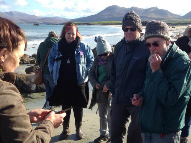 Read more about the article Seaweed Walk and Talk