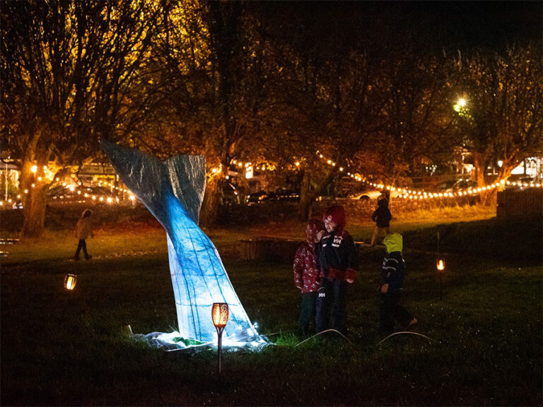 Read more about the article Night Lights Festival Parade