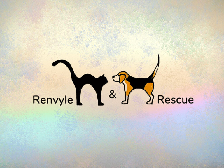 Read more about the article Renvyle Cat and Dog Rescue Sea Week Fundraiser