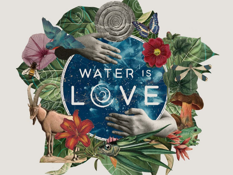 Read more about the article Film – Water is Love