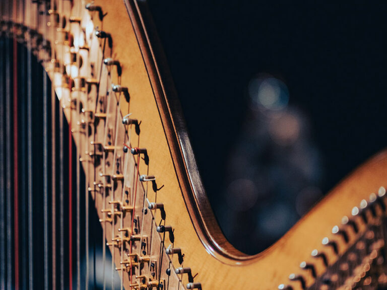 Read more about the article Harp Day Celebration at Connemara National Park